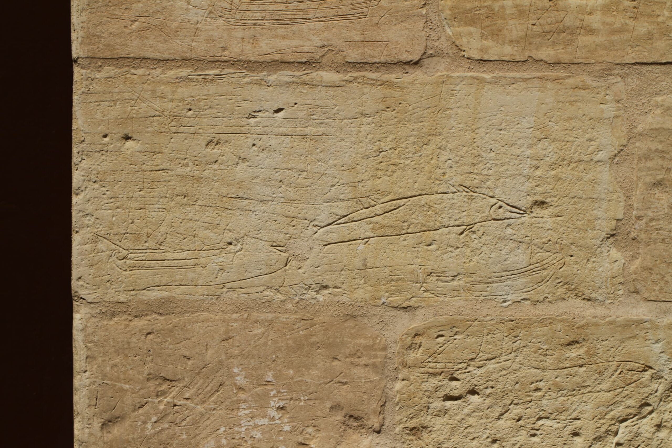 At least five individual ship graffiti can be seen, likely dating to the 18th century. Two fish are also etched alongside the ship graffiti.